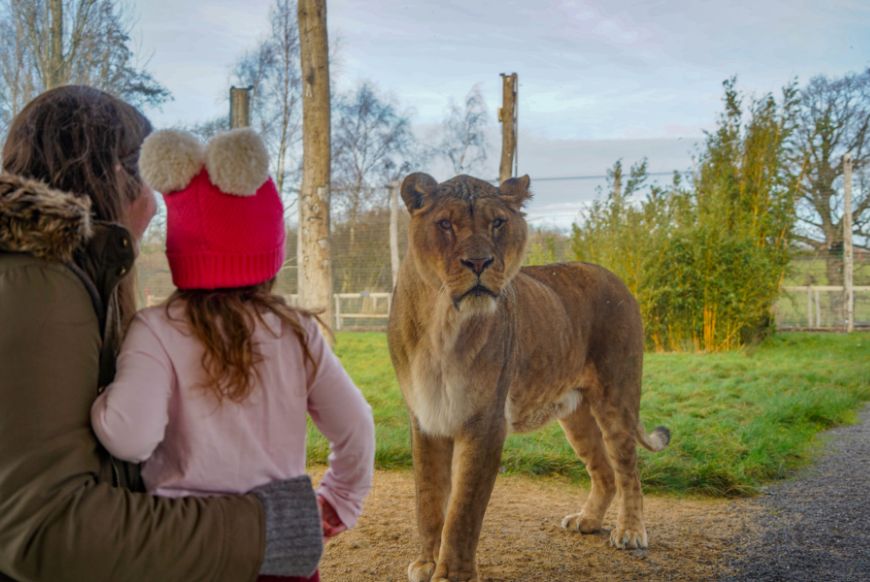 Kids go free at Noahs Ark Zoo Farm